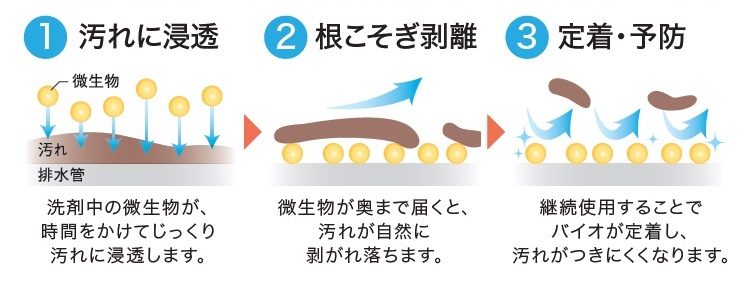 バイオの力が隅々まで浸透