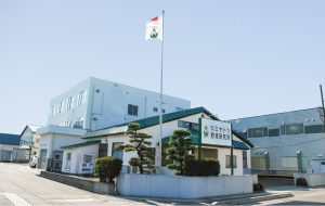 ミヤトウ野草研究所
